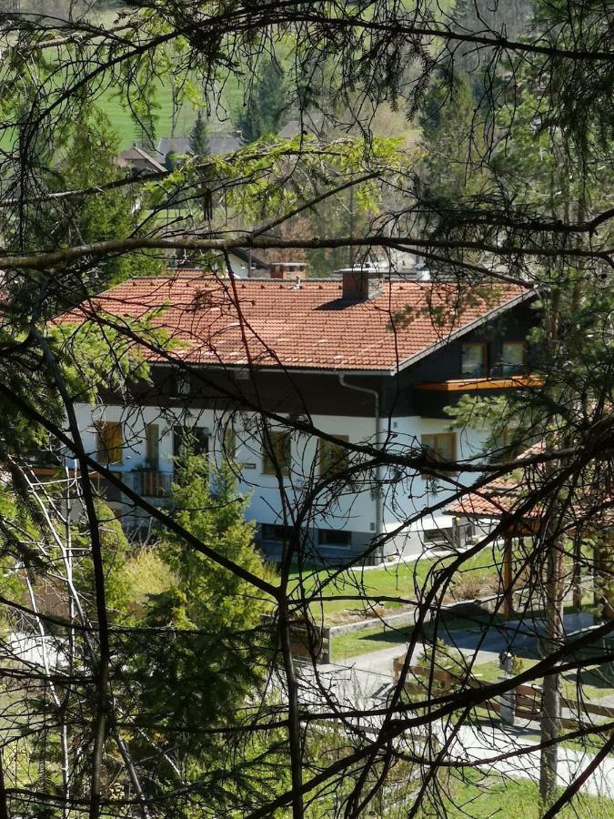 Haus Edlinger Apartment Hinterstoder Bagian luar foto